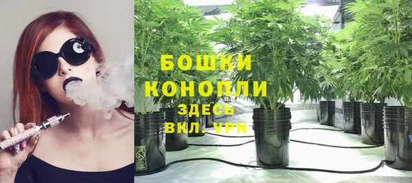 mdpv Белокуриха