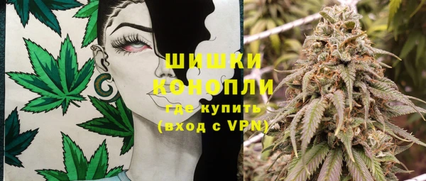 mdpv Белокуриха