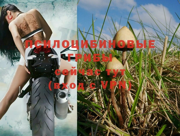 mdpv Белокуриха