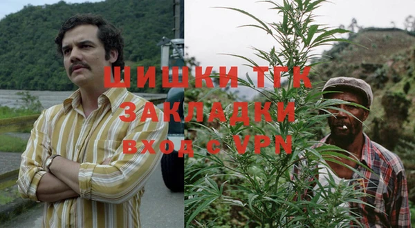 mdpv Белокуриха