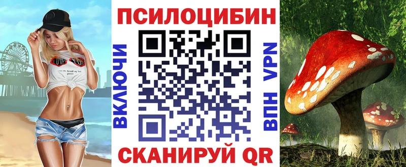мега сайт Павловск Псилоцибиновые грибы Psilocybine cubensis